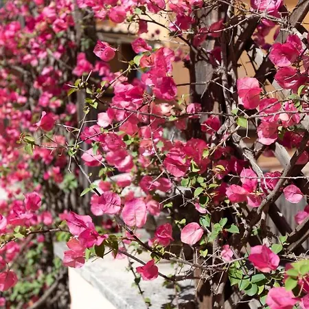 The Pantheon Terrace Experience Apartment *